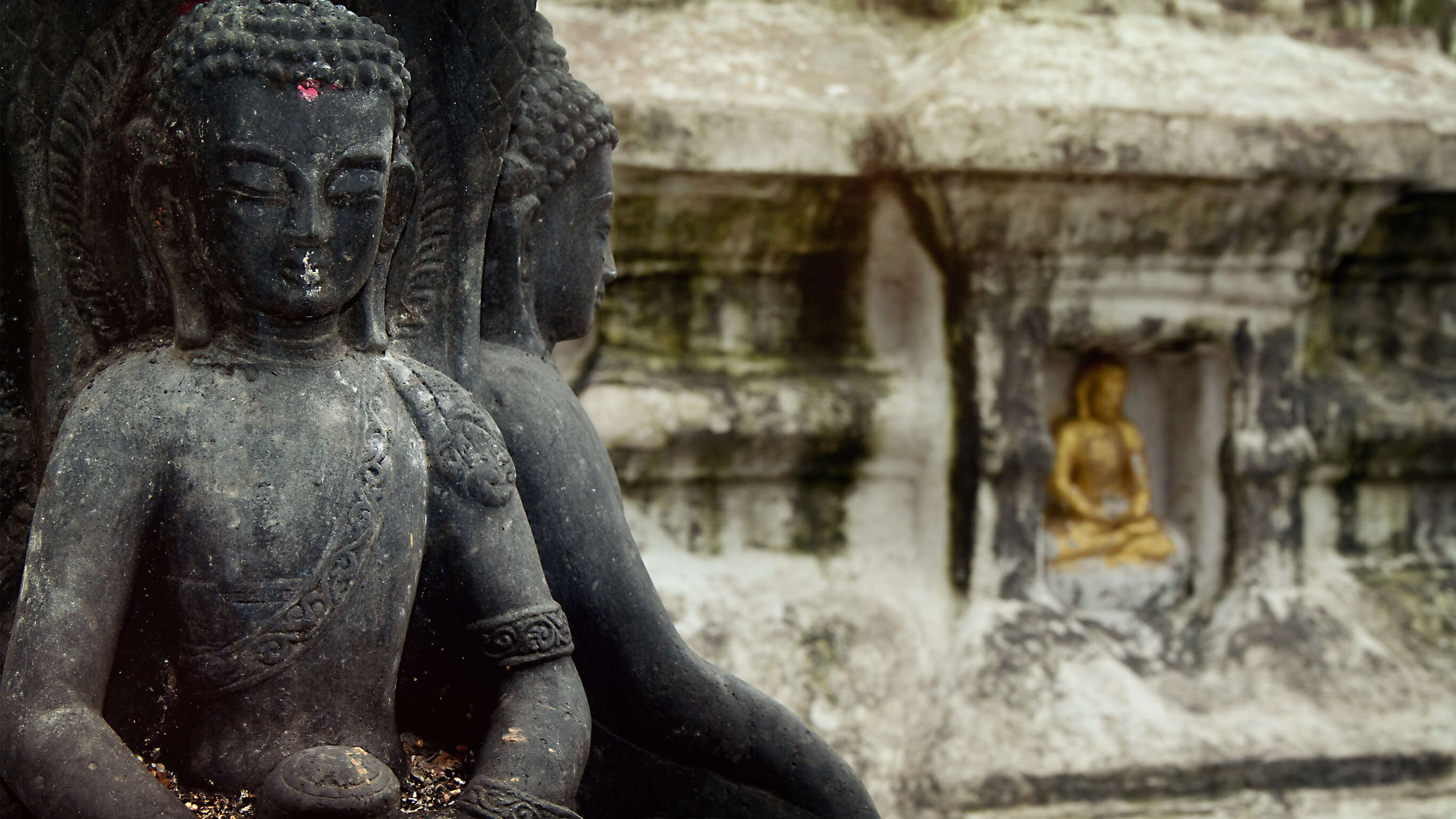 India & Nepal Explorer