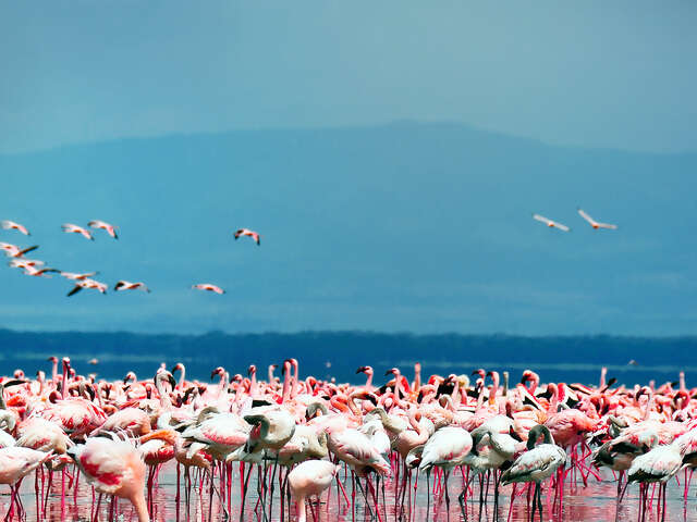 Kenya Overland Adventure