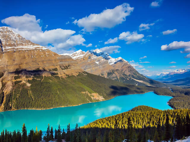 Canadian Rockies by Train