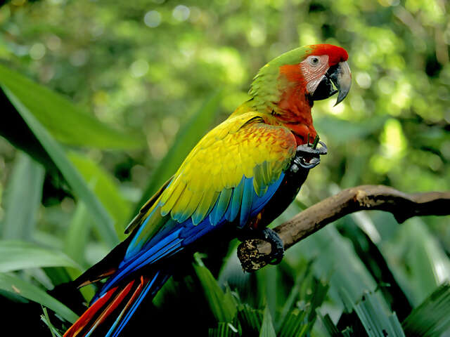 Exploring New Zealand featuring the North & South Islands