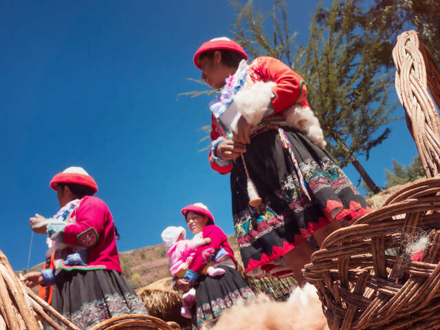 Machu Picchu Explorer