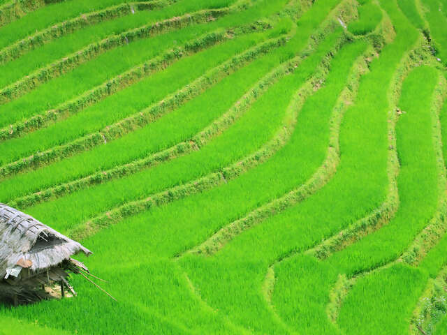 Timeless Vietnam