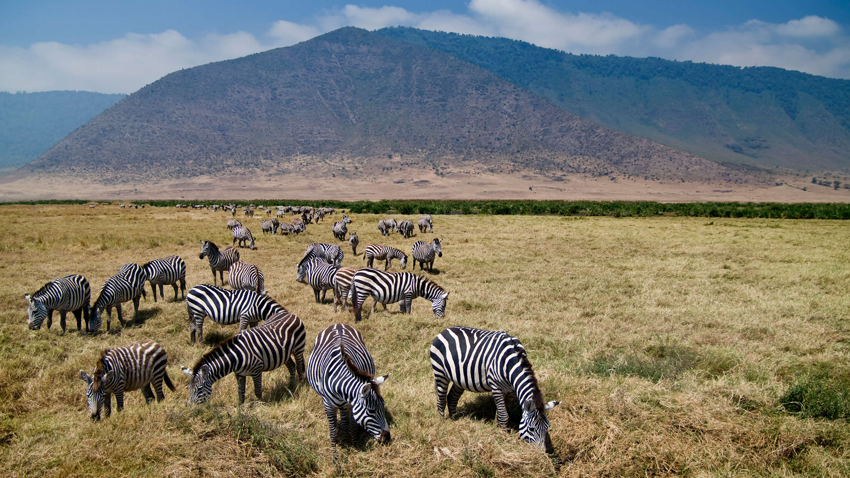 Tanzania & Zanzibar Adventure