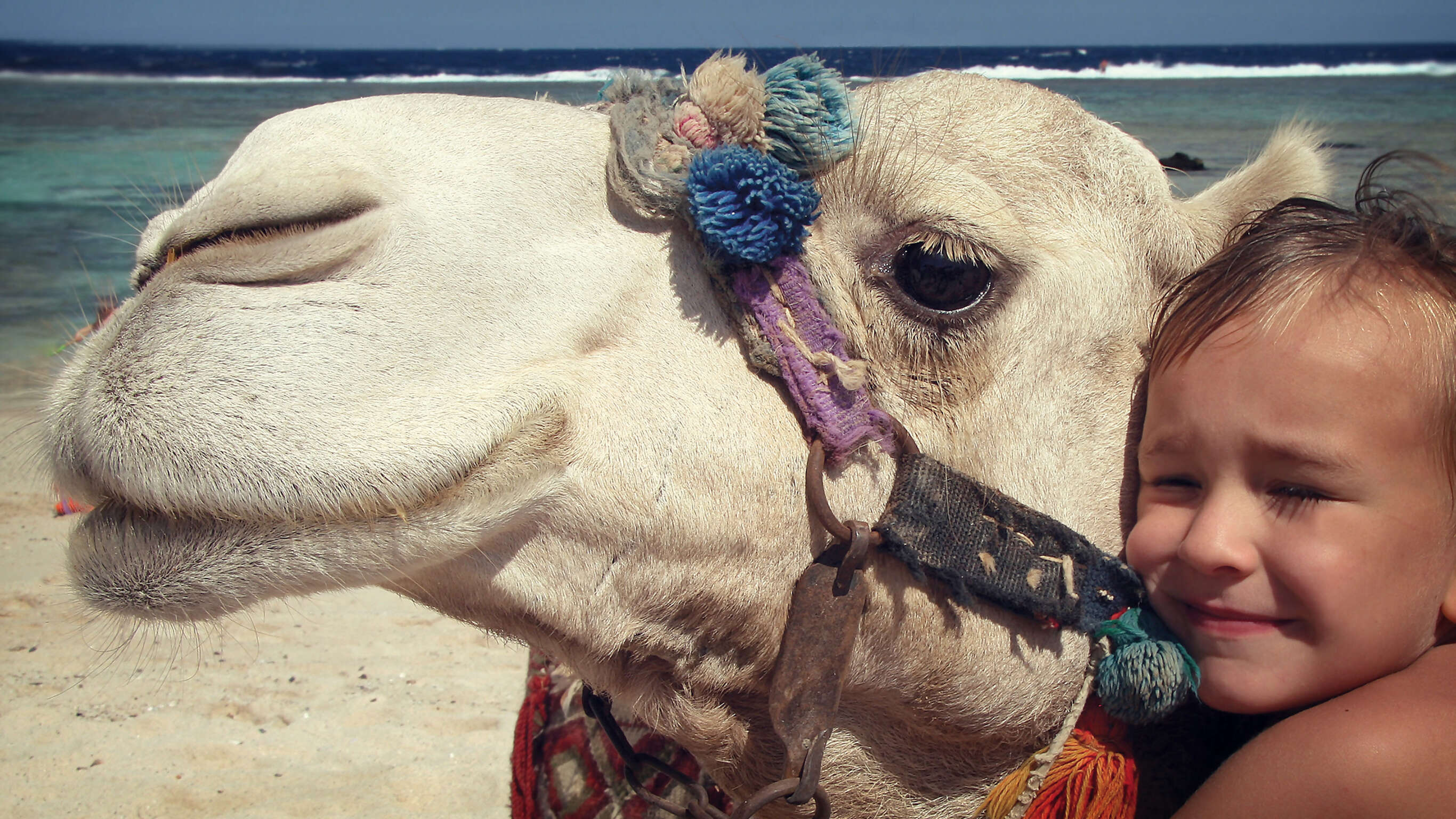 Egypt Family Adventure