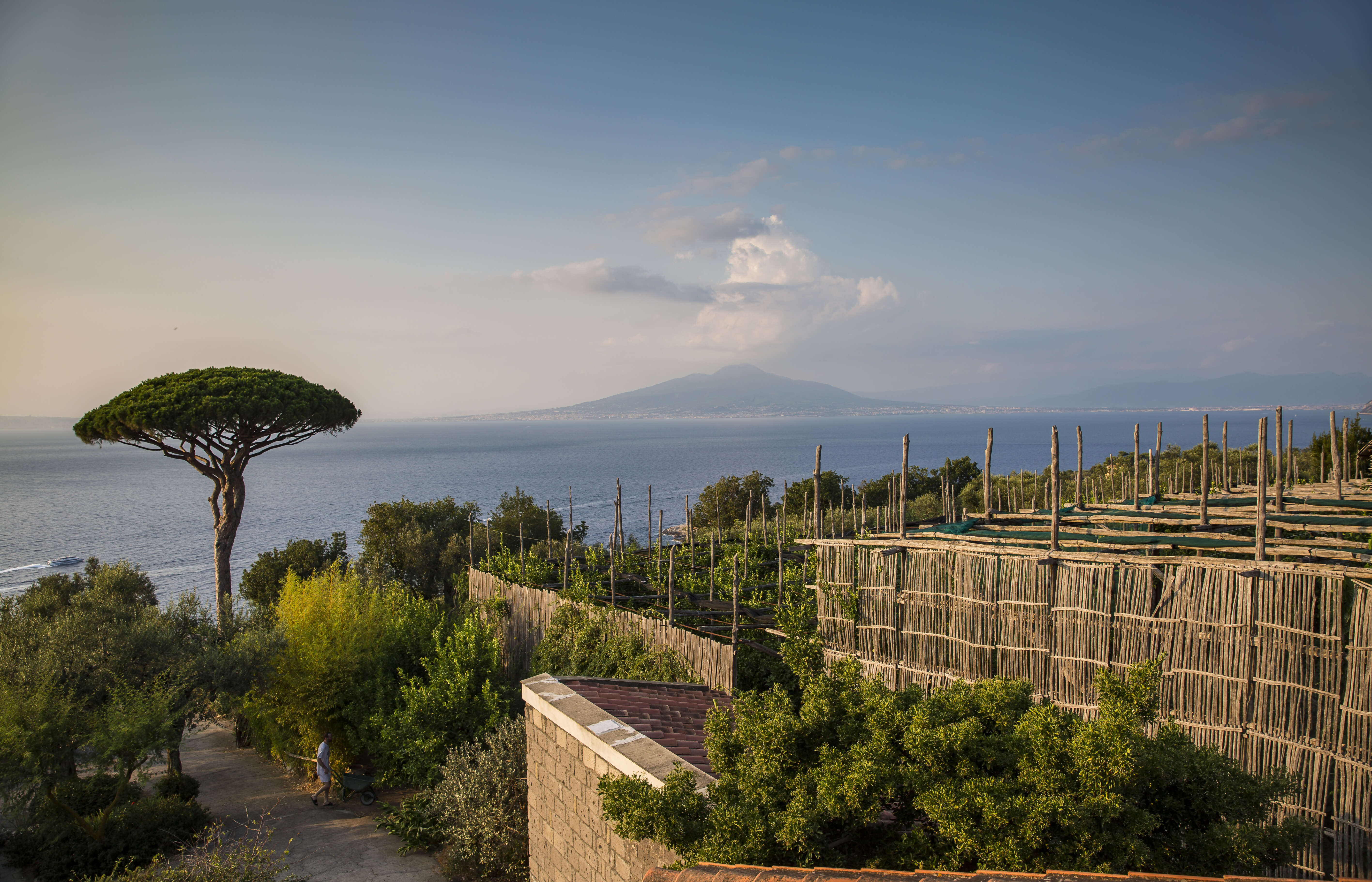 Local Living Italy—Sorrento