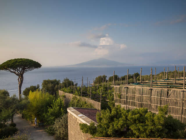 Local Living Italy—Sorrento