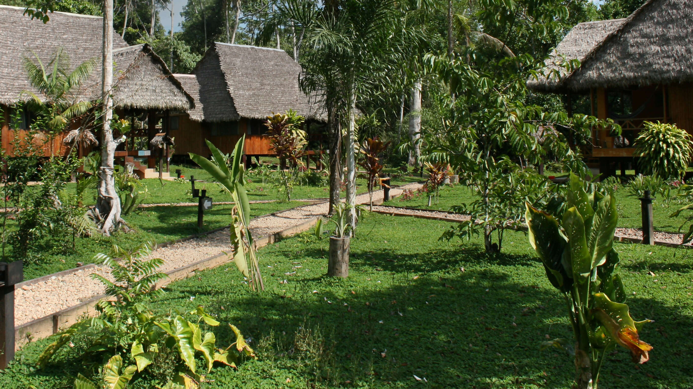 G Lodge Amazon - 6 days