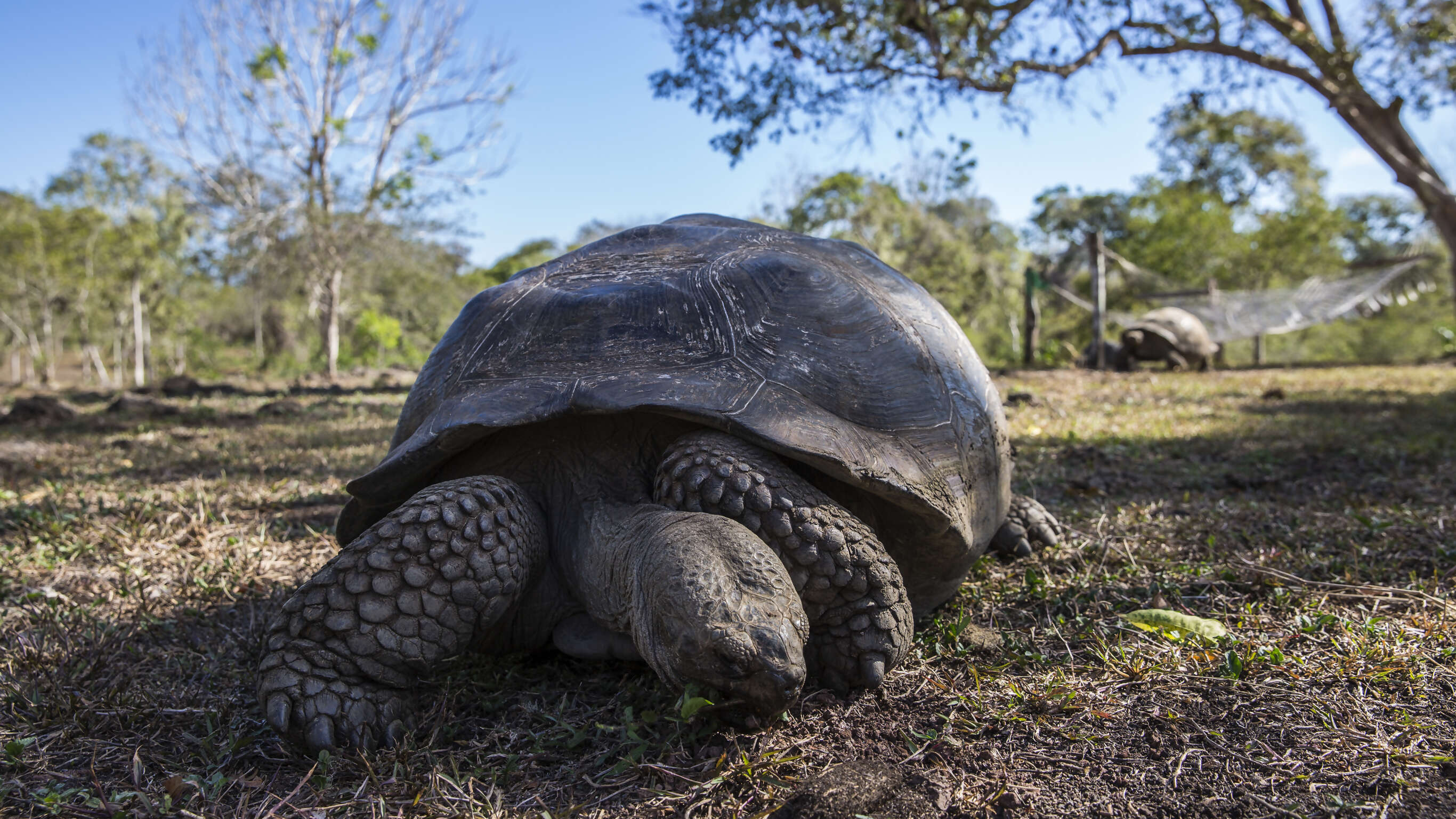 Galápagos — South & Central Islands aboard the Xavier III