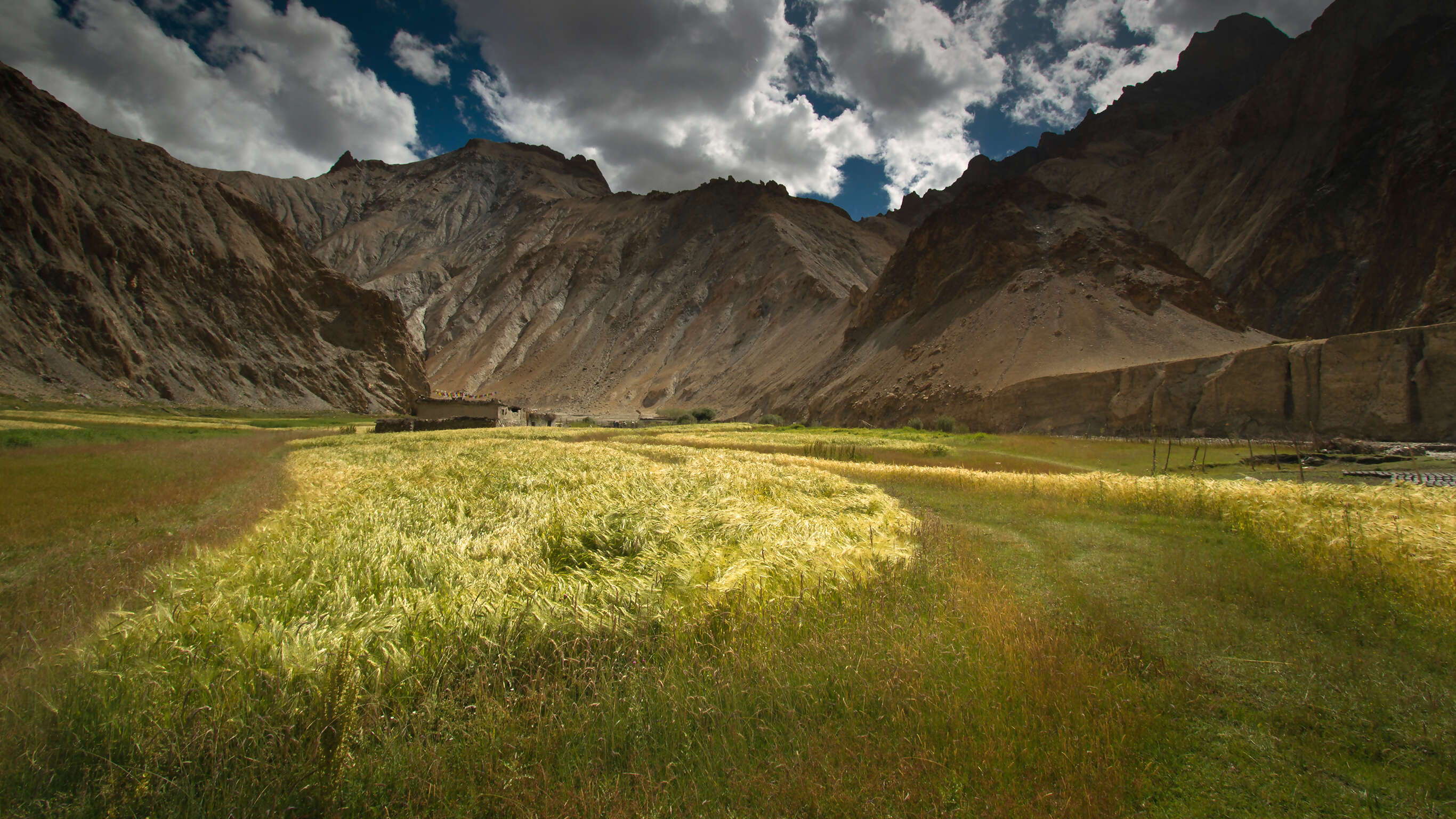 Trekking in Ladakh