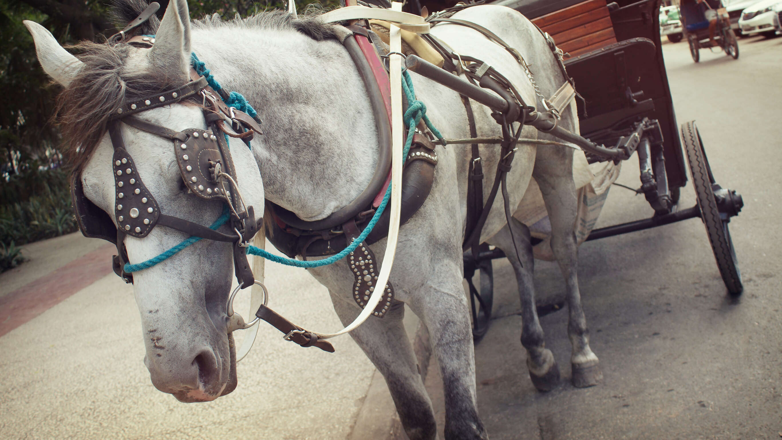 Cuba Family Adventure