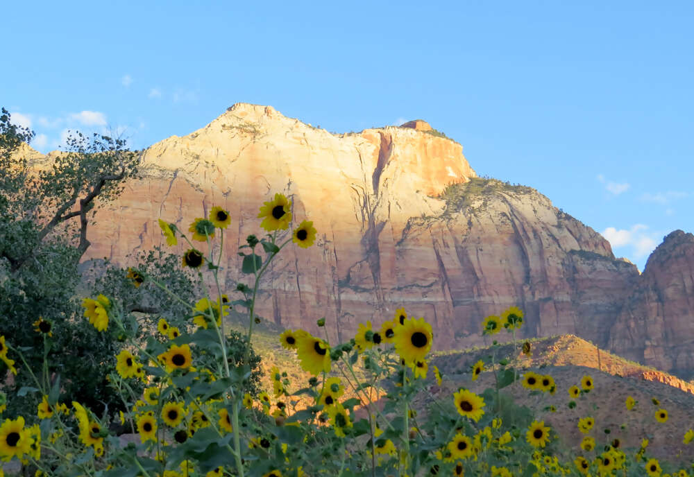 Painted Canyons of the West featuring Utah’s Five National Parks