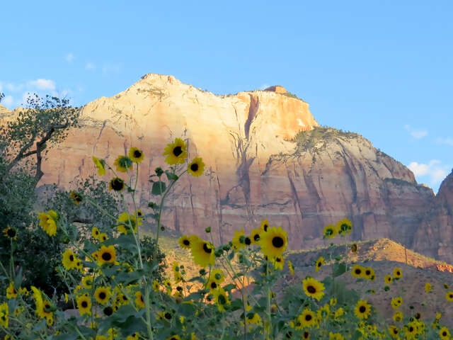 Painted Canyons of the West featuring Utah’s Five National Parks