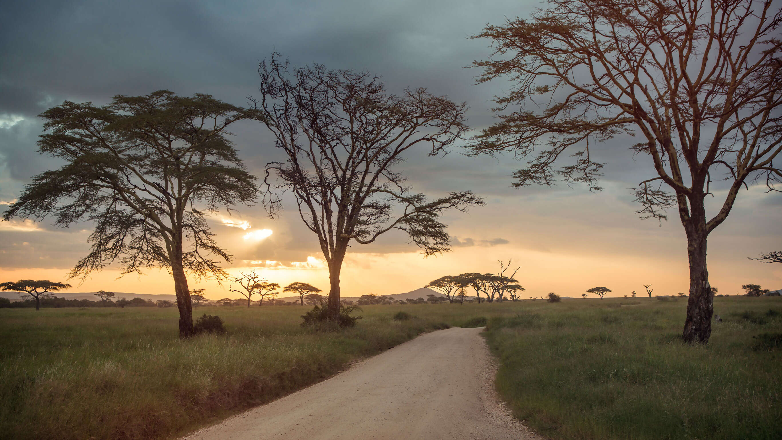 Upgraded Safari in Kenya & Tanzania