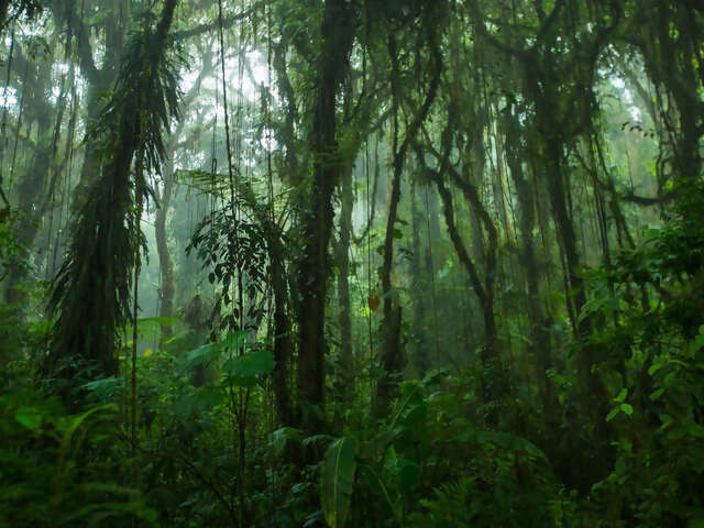 Costa Rica & Panama Quest