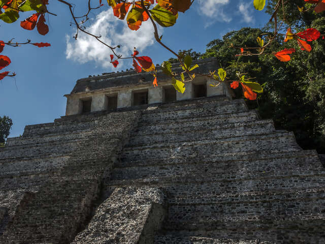 Mayan Trail