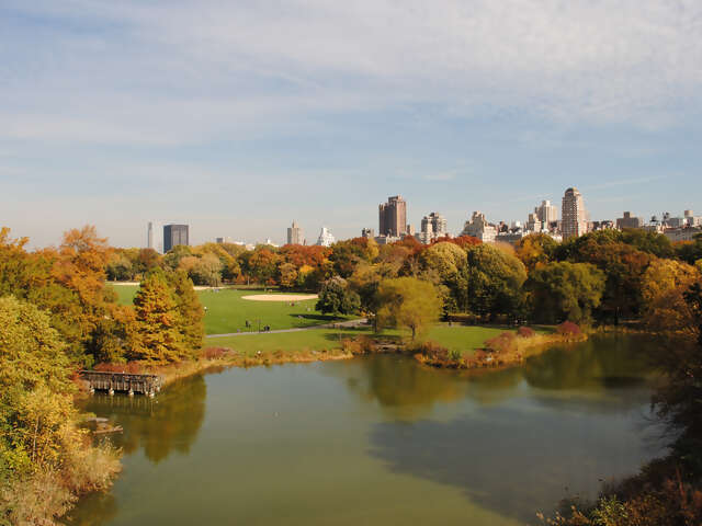 Spotlight on New York City Holiday