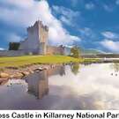 2014RossCastleKillarney300x200.jpg