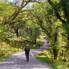 Killarney%20National%20Park.jpeg