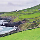 Dingle_Coastline-IS-40.jpeg