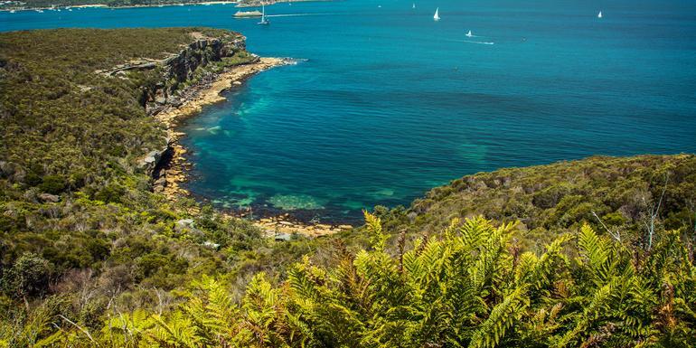 Sydney Roundtrip: Australia's Greatest Hits