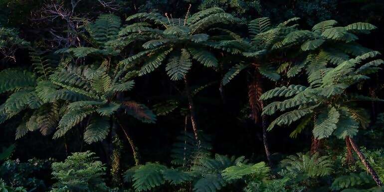 Active Japan: Hokkaido Highlights & Okinawa Island Hopping