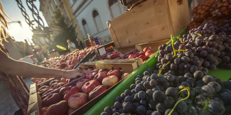 Local Living France: Toulouse