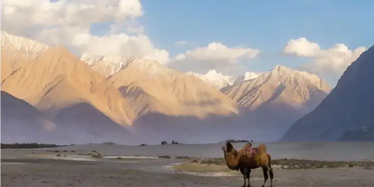 Northern India & Himalayan Trails