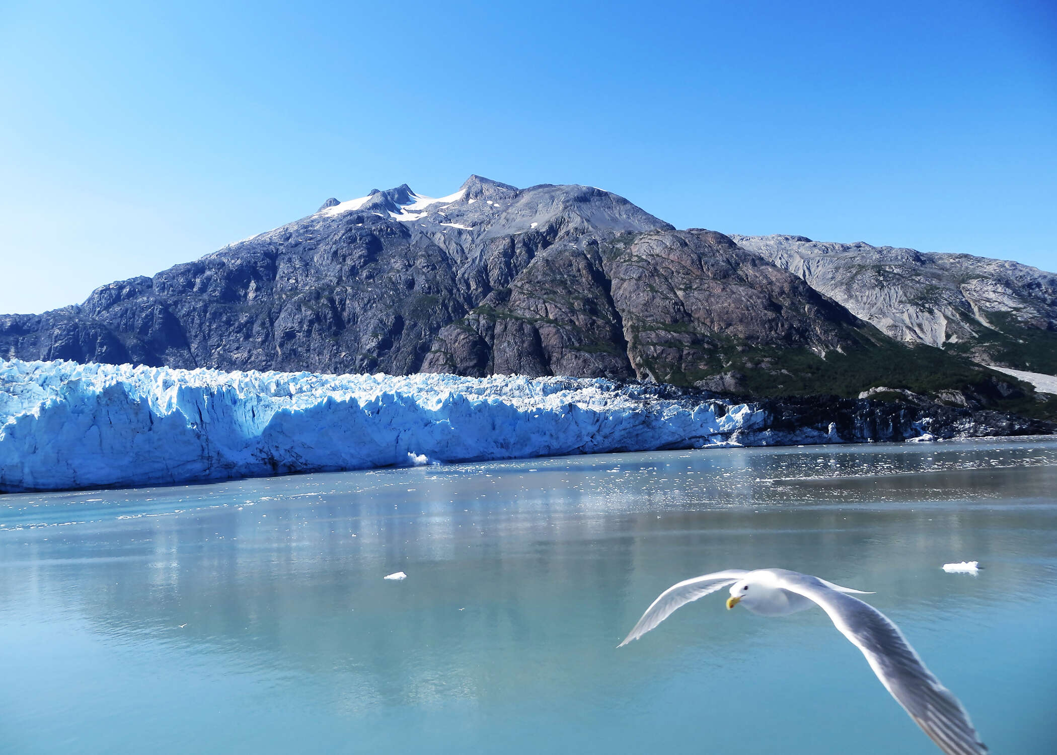 Alaska Discovery Land & Cruise featuring a 7-night Holland America Cruise