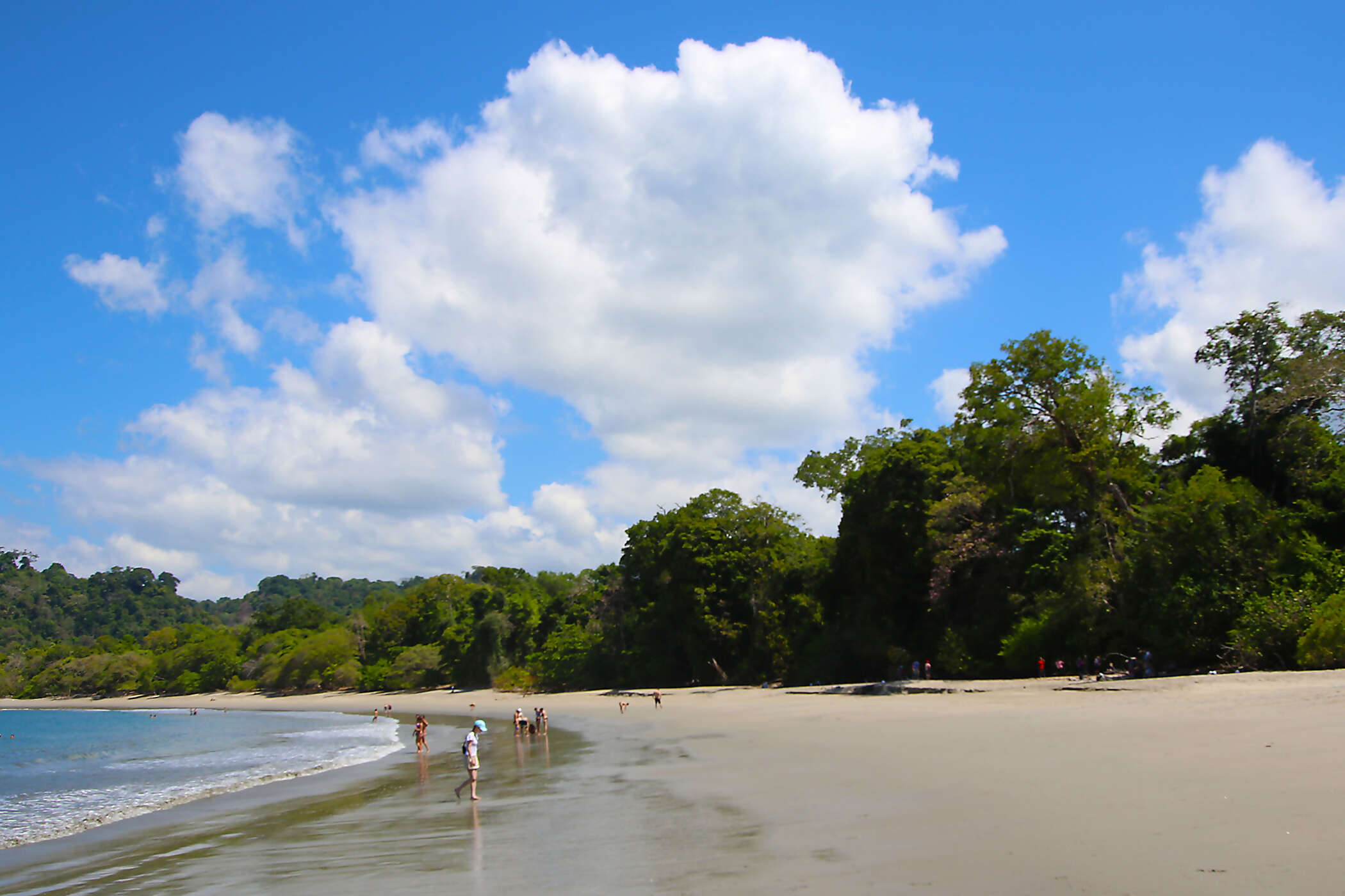Costa Rica: A World of Nature featuring Tortuguero National Park, Arenal Volcano & Manuel Antonio National Park