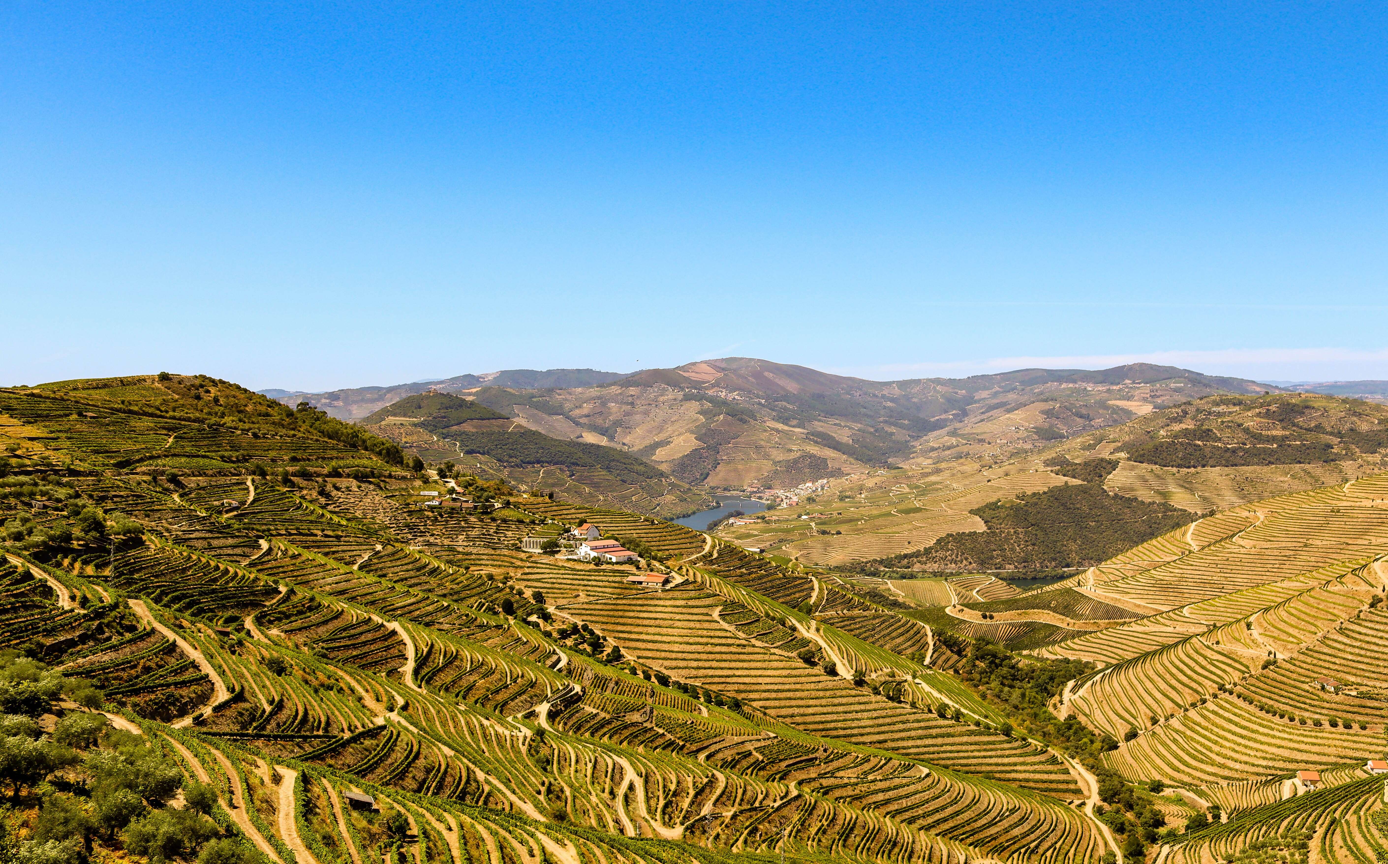 Flavors of Portugal & Spain featuring the Douro and Rioja Wine Regions