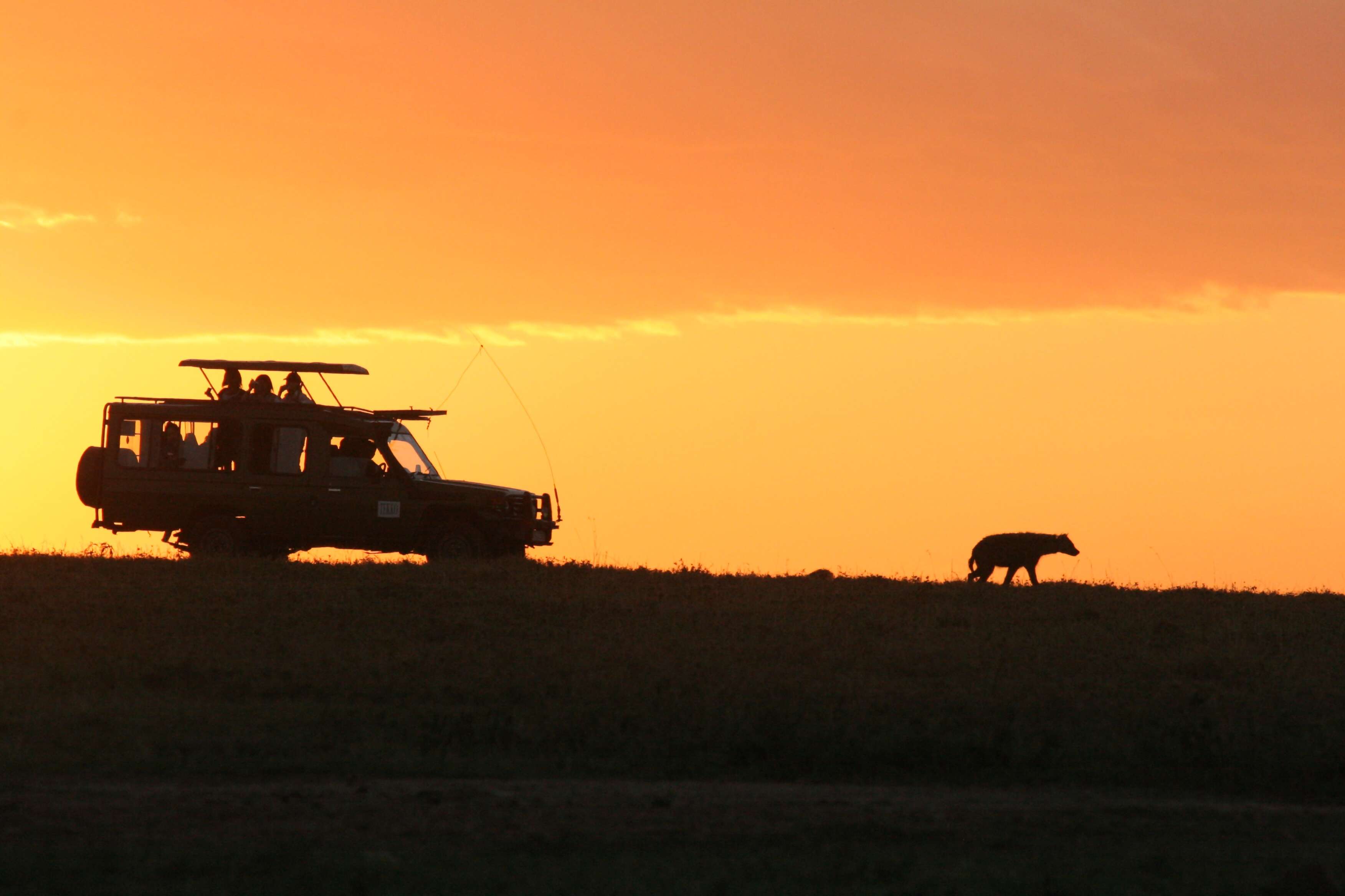 Wilderness of Southern Africa: Safari by Land & Water