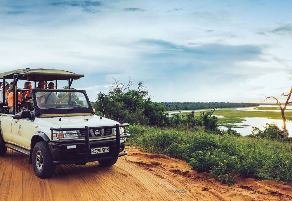 Wilderness of Southern Africa: Safari by Land & Water