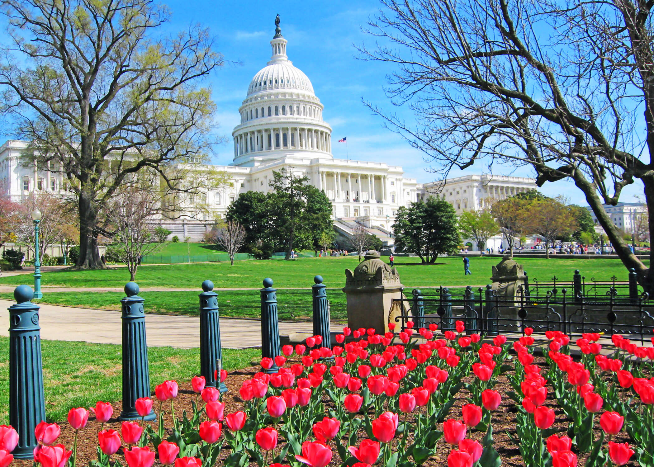 Spotlight on Washington, D.C. Exploring America's Capital