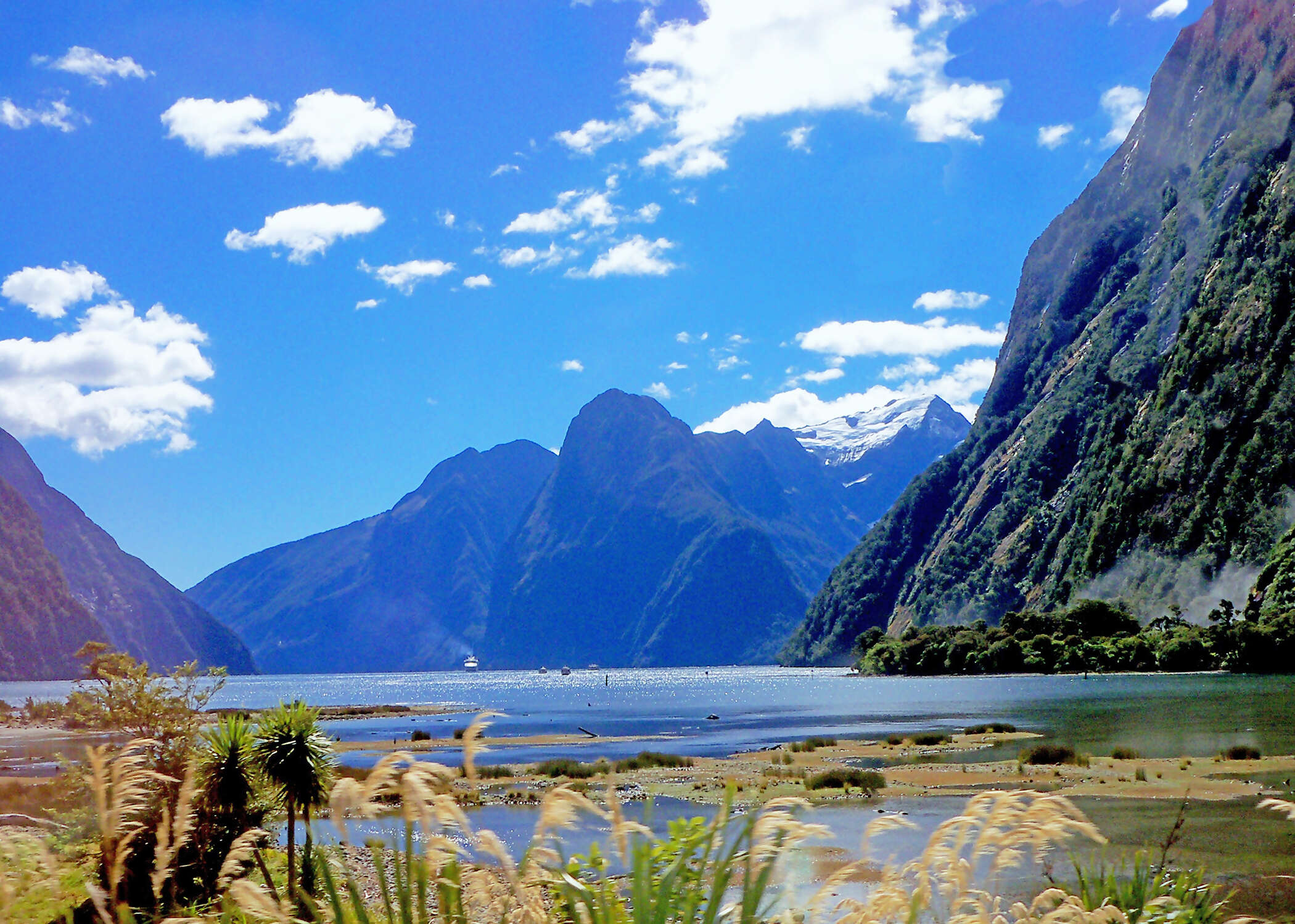 South Pacific Wonders including New Zealand's North Island