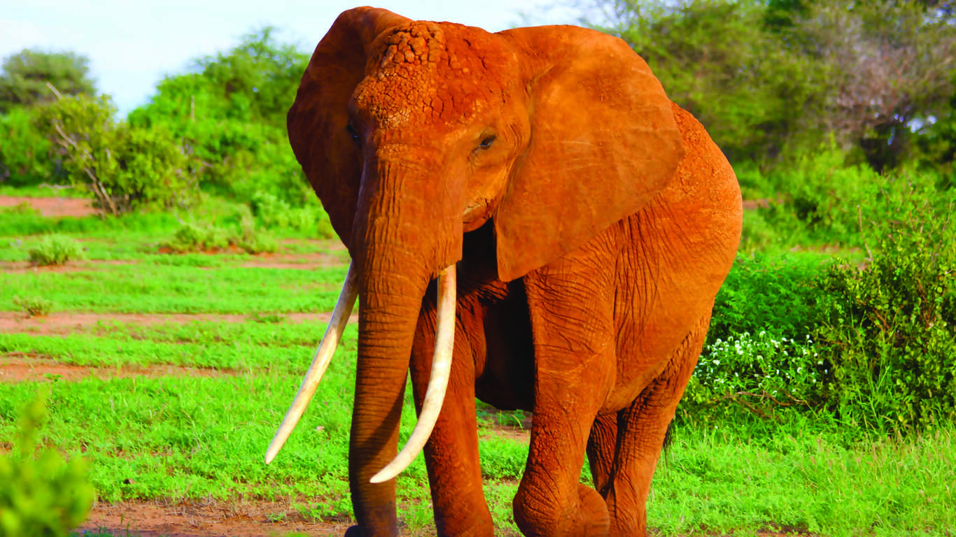 Wonders of Thailand Discovering Ancient Wonders and Natural Beauty from Bangkok to Phuket