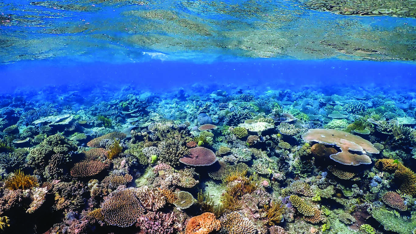 Australia and New Zealand Uncovered