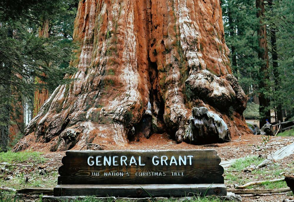 Sequoia & Kings Canyon National Parks featuring San Diego and California’s Central Coast