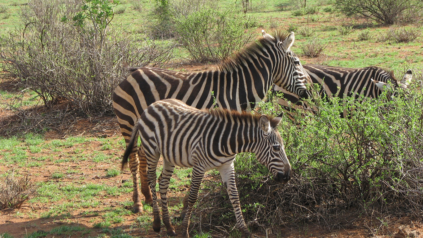 Namibia & South Africa: Epic Landscapes and Wildlife