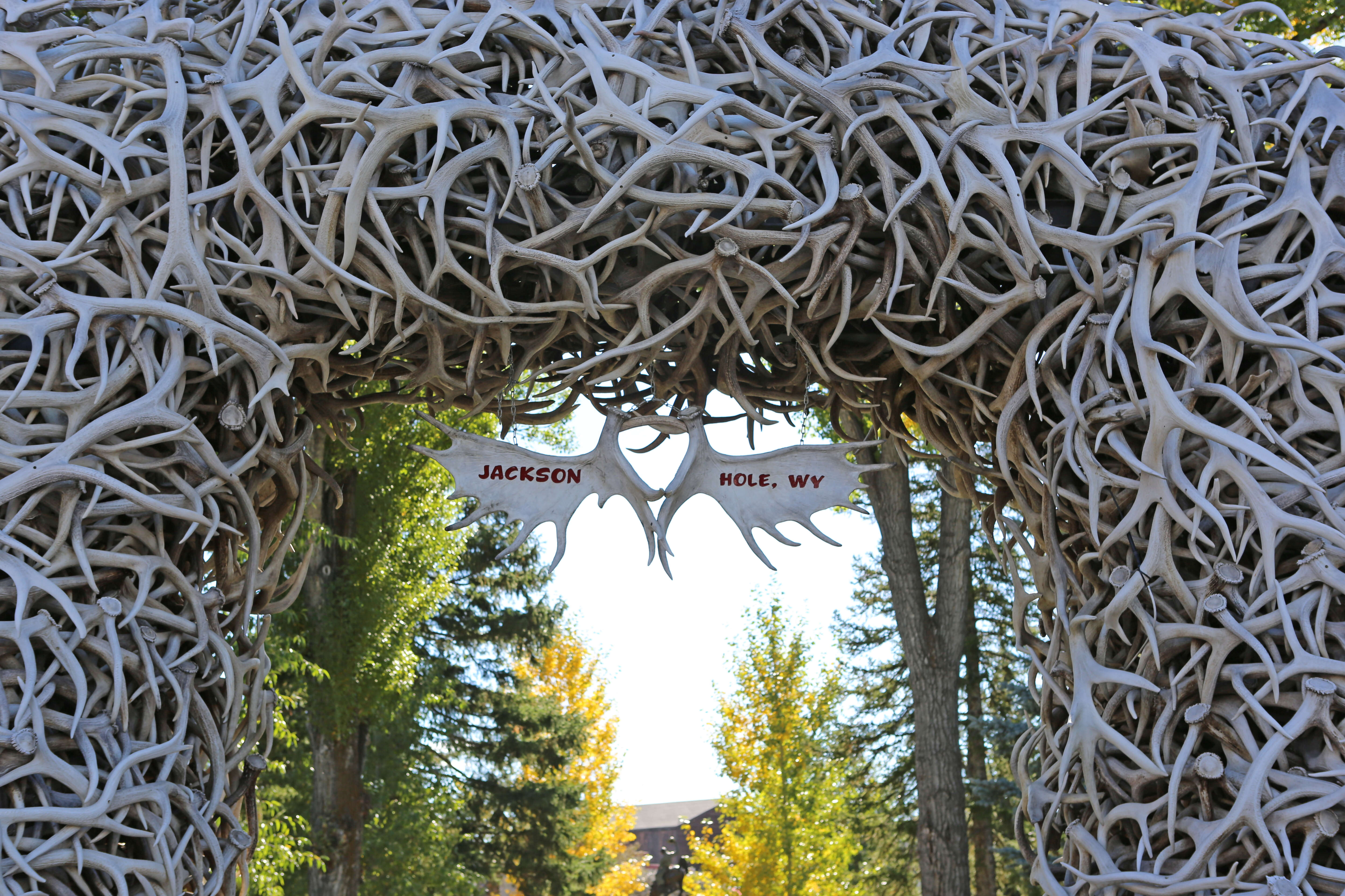 America's Cowboy Country