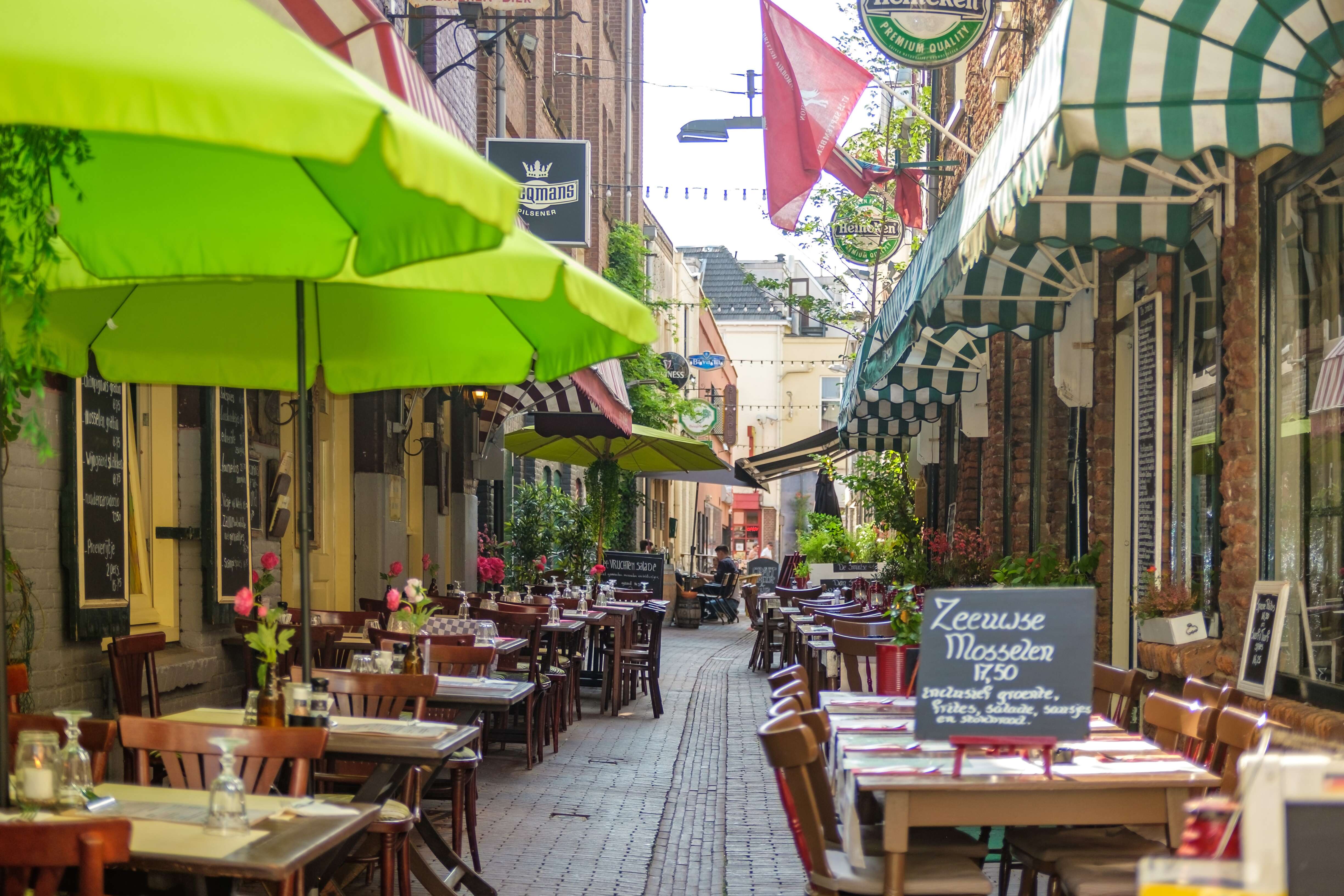 Holland and Belgium Springtime River Cruise