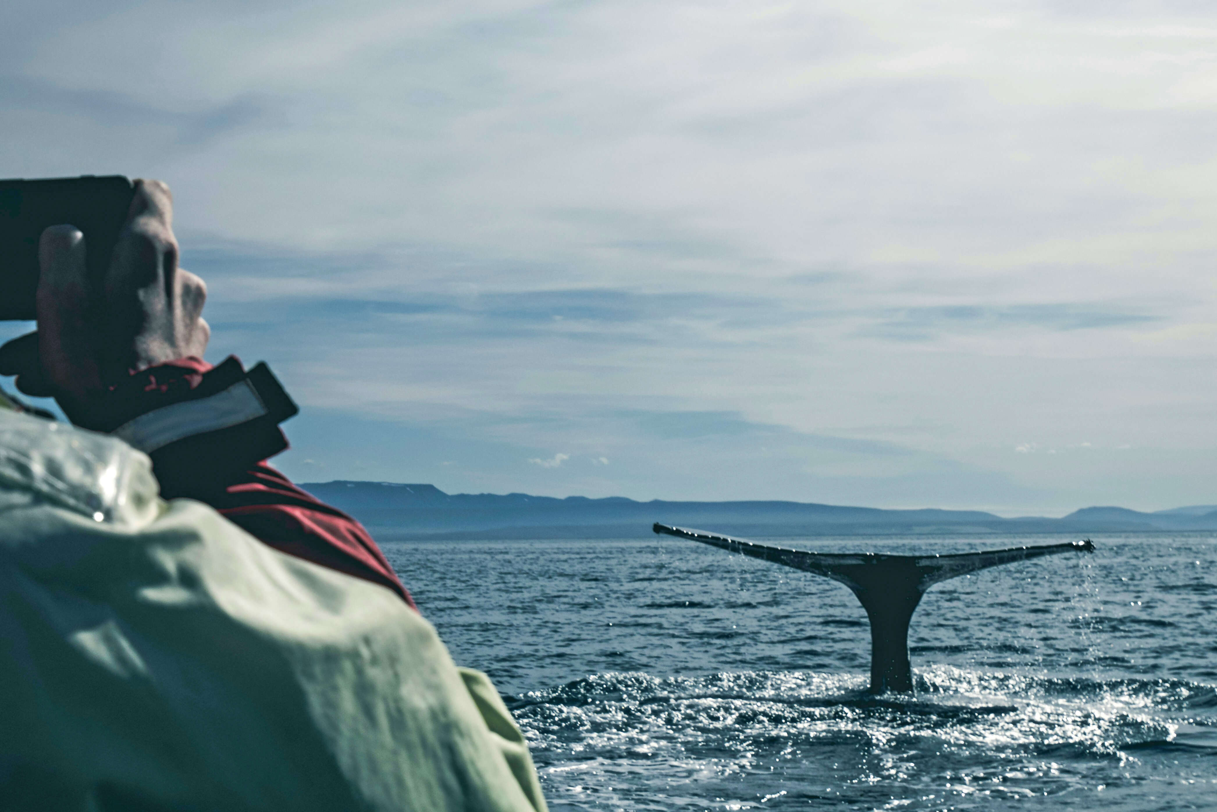 Best of Iceland featuring the Northern Lights